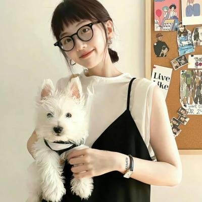 双截龙