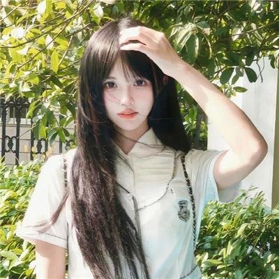 杀猫记